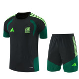 2026 Mexico Adult Training Jersey+Shorts Suit