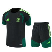2026 Mexico Adult Training Jersey+Shorts Suit