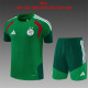 2026 Algeria Kids Training Jersey+Shorts Suit