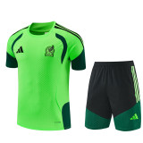 2026 Mexico Adult Training Jersey+Shorts Suit