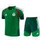 2026 Algeria Adult Training Jersey+Shorts Suit