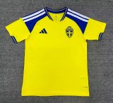 2026 World Cup Sweden Home Adult Soccer Jersey