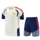 2026-2027 Bayern Munich Adult Training Jersey+Shorts Suit