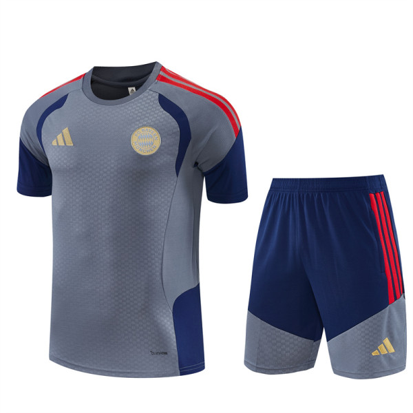 2026-2027 Bayern Munich Adult Training Jersey+Shorts Suit