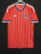 2026 World Cup Scotland Away Adult Soccer Jersey
