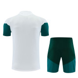 2026-2027 Real Madrid Adult Training Jersey+Shorts Suit