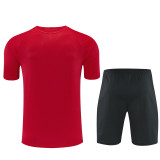 2026-2027 AC Milan Adult Training Jersey+Shorts Suit