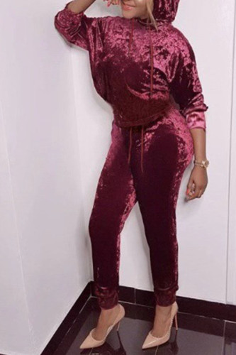 Wine Red Velvet Casual England Solid Straight Long Sleeve Two Pieces