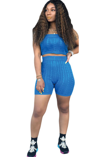 Blue Polyester Sexy Fashion perspective Embroidery Patchwork Straight Sleeveless Two-Piece Short Set DZ1199