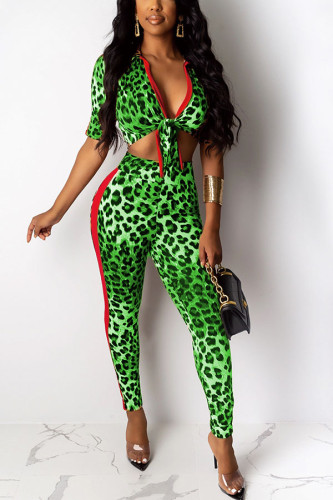 Green venetian Casual Leopard Striped Print pencil Long Sleeve Two Pieces