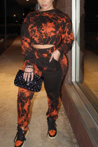 Black Fashion Street Adult Polyester Print Split Joint O Neck Long Sleeve Regular Sleeve Short Two Pieces