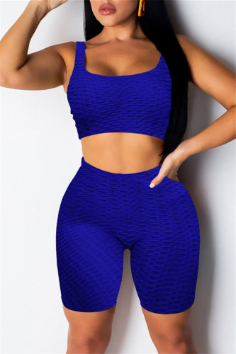 Blue Casual Sportswear Solid Vests U Neck Sleeveless Two Pieces