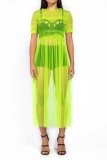 Solid Sheer Mesh Frill Trim Maxi Dress