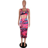 Colorful Zebra Print Tank Top & Midi Skirt