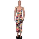 Multicolor Zebra Print Tank Top & Midi Skirt