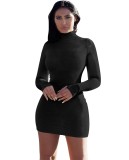 Black Pure Color High Neck Long Sleeve Mini Bodycon Dress