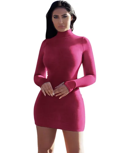 Purple High Neck Long Sleeve Thumb Hole Mini Bodycon Dress