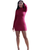 Purple High Neck Long Sleeve Thumb Hole Mini Bodycon Dress
