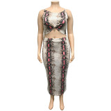 Plus Size Snakeskin Print Crop Top and Skirt Set 