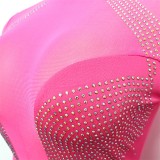 Rhinestone Hot Pink High Neck Mesh Panel Bodycon Dress