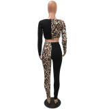 Contrast Leopard Print Twist Crop Top and Tight Pants Set
