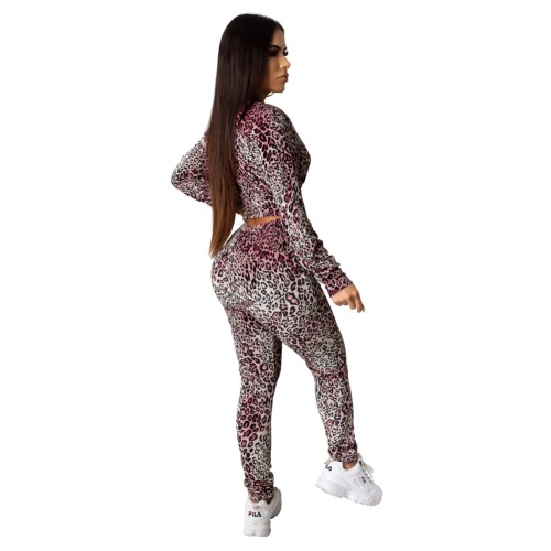 Pink Leopard Zip Up Crop Jacket & Pants Set