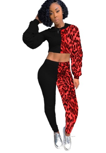 Contrast Leopard Hooded Crop Top and Pants Set