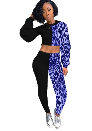 Leopard Print Colorblock Hooded Crop Top and Pants Set