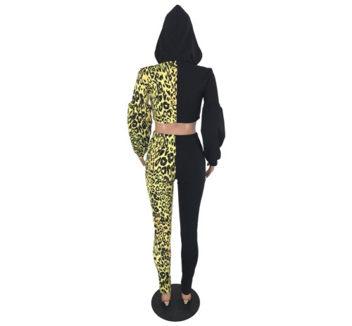 Leopard Patchwork Hooded Crop Top and Pants Set