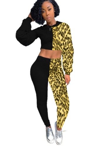 Leopard Patchwork Hooded Crop Top and Pants Set