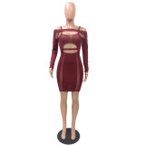 Sexy Burgundy Cutout Mesh Panel Bodycon Club Dress
