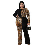 Plus Size Contrast Leopard Crop Top & Pants Set