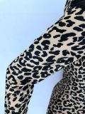 Leopard Print Long Sleeve Mesh Insert Bodycon Dress