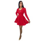 Red Lace V Shape Back Skater Dress