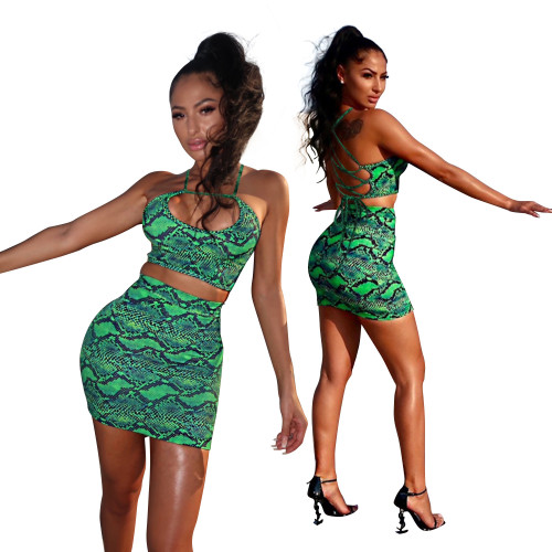 Print Green Lace Up Back Crop Top & Mini Skirt Set