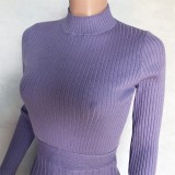 Purple Color Elegant Pleated Midi Sweater Dress