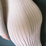 Nude Color Elegant Pleated Midi Sweater Dress