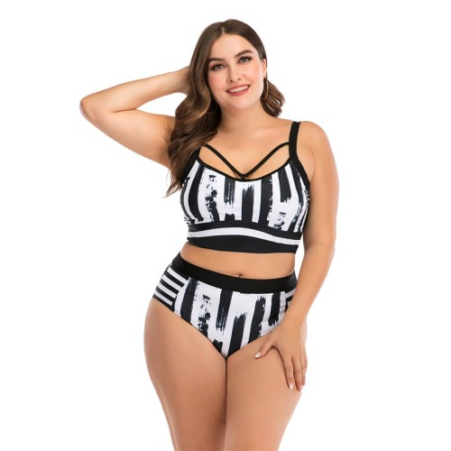 Plus Size Striped Print High Waist Two Piece Swimsuit
