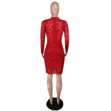 Floral Red Lace Deep V Bodycon Dress