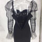 Sexy Black Bodycon Club Dress with Mesh Sleeve