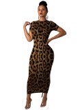 Short Sleeve Leopard Print Slinky Midi Dress