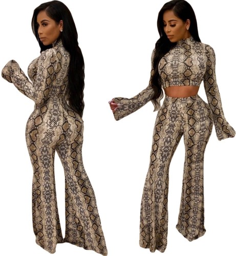 Snakeskin Print Crop Top and Flare Pants