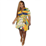 Plus Size Print Colorful A Line Dress