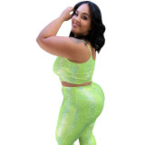 Plus Size Print Green Cami Top & High Waist Pants