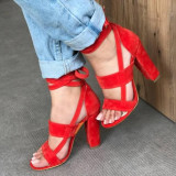 Women's Straps Block Heel Sandal