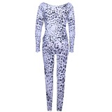 Long Sleeves Leopard Print Two Piece Leisure Pants Set