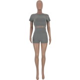 Gray Hight Waist Crop Top and Shorts Set