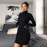 High Neck Black Ribbed Bodycon Dress with Sleeve