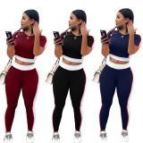 Burgundy Two Piece Pants Set with Contrast Panel