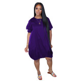 Solid Purple Puff Sleeve Waist Hem Casual Dress